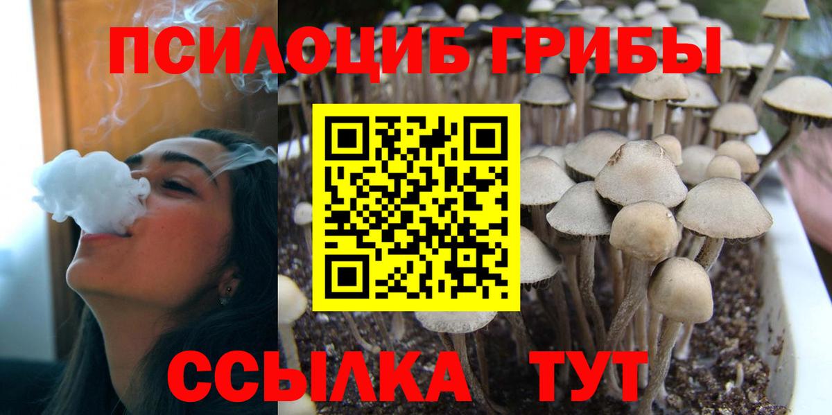 Галлюциногенные грибы MAGIC MUSHROOMS Великий Новгород