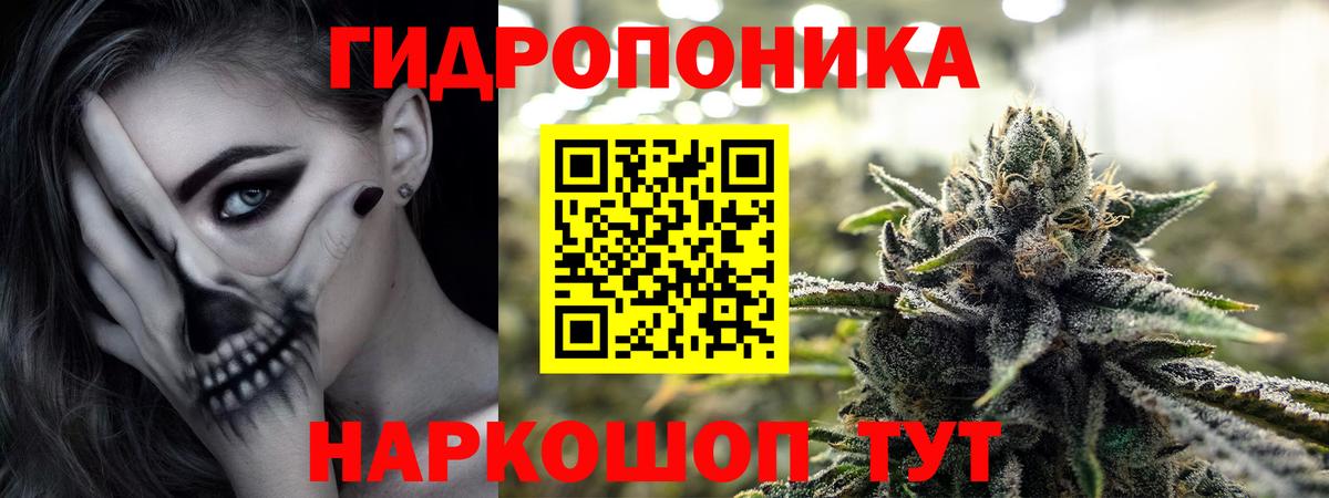 Бошки марихуана конопля Великий Новгород
